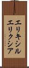 エリキシル Scroll