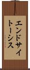 エンドサイトーシス Scroll