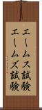 エームス試験 Scroll