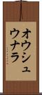 オウシュウナラ Scroll
