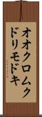 オオクロムクドリモドキ Scroll