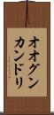 オオグンカンドリ Scroll