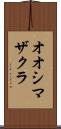 オオシマザクラ Scroll