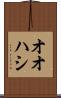 オオハシ Scroll