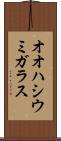 オオハシウミガラス Scroll