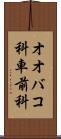 オオバコ科 Scroll