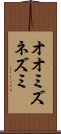オオミズネズミ Scroll