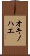 オキノハエ Scroll