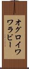 オグロイワワラビー Scroll