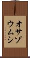 オサゾウムシ Scroll