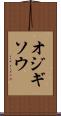 オジギソウ Scroll
