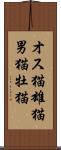 オス猫 Scroll