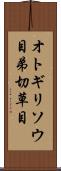 オトギリソウ目 Scroll