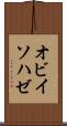 オビイソハゼ Scroll