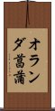 オランダ菖蒲 Scroll