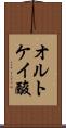 オルトケイ酸 Scroll