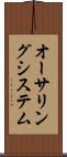 オーサリングシステム Scroll
