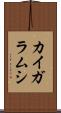 カイガラムシ Scroll