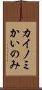カイノミ Scroll