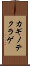 カギノテクラゲ Scroll