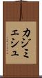 カジミェシュ Scroll