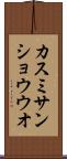カスミサンショウウオ Scroll