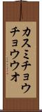 カスミチョウチョウウオ Scroll