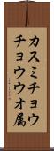 カスミチョウチョウウオ属 Scroll