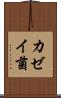 カゼイ菌 Scroll