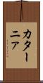カターニァ Scroll