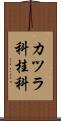 カツラ科 Scroll