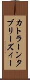 カトラーンタブリーズィー Scroll