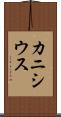 カニシウス Scroll