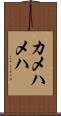 カメハメハ Scroll