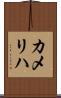 カメリハ Scroll
