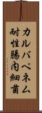 カルバペネム耐性腸内細菌 Scroll