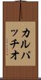 カルパッチオ Scroll
