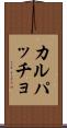カルパッチョ Scroll