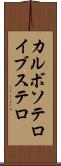 カルボソテロイブステロ Scroll