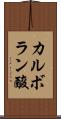カルボラン酸 Scroll