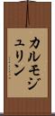 カルモジュリン Scroll