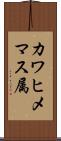 カワヒメマス属 Scroll
