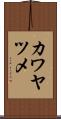 カワヤツメ Scroll