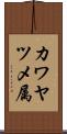 カワヤツメ属 Scroll