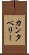 カンタベリー Scroll