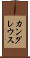 カンダレウス Scroll