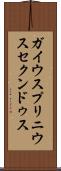 ガイウスプリニウスセクンドゥス Scroll