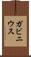 ガビニウス Scroll
