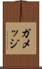ガメッジ Scroll