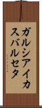 ガルシアイカスバルセタ Scroll